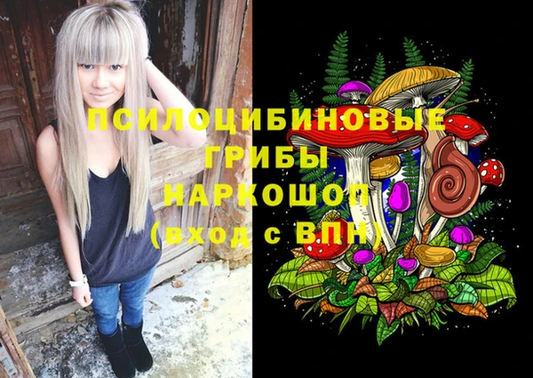 СК Красноперекопск