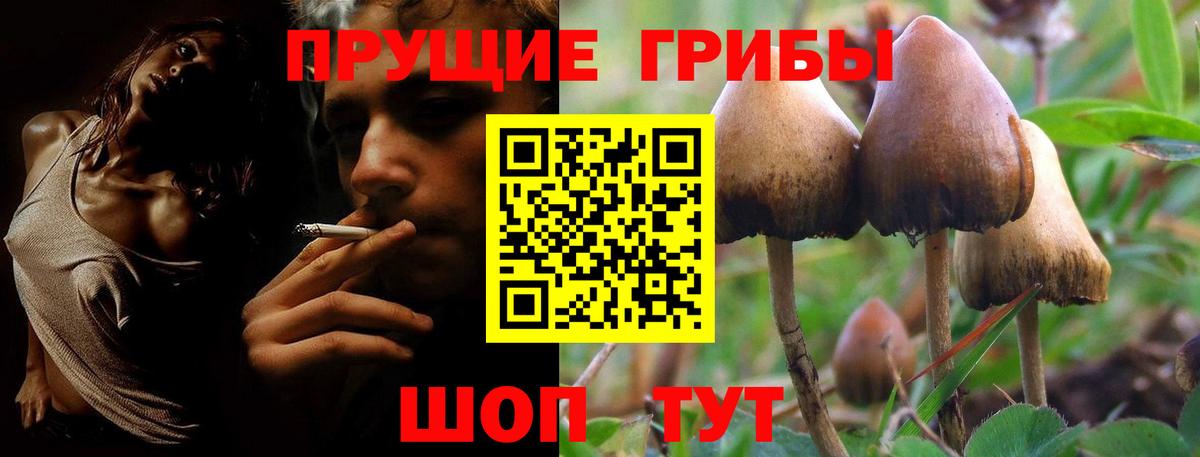 Миллерово  Галлюциногенные грибы Psilocybe  Вход с VPN  Галлюциногенные грибы Magic Shrooms 